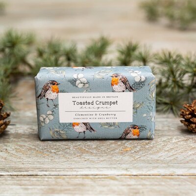 Clementine & Cranberry (Robin & Eucalyptus Blue) Soap