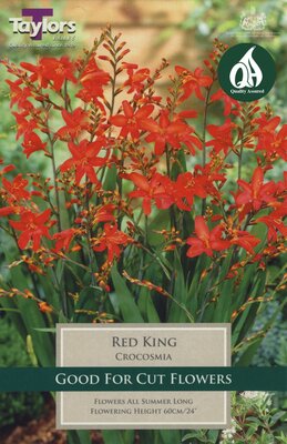 CROCOSMIA RED KING