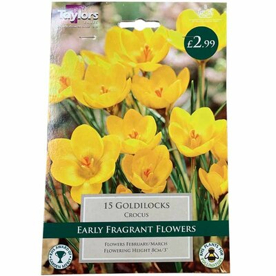 CROCUS GOLDILOCKS 5-7 P/P