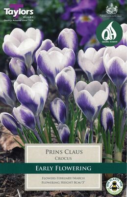 CROCUS PRINS CLAUS 5-7 P/P