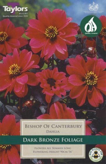 DAHLIA BISHOP OF CANTERBURY