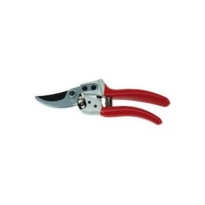 Expert Bypass Pruner