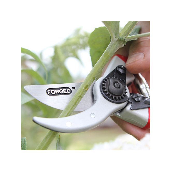 Darlac Expert Drop Forged Pruner - image 2