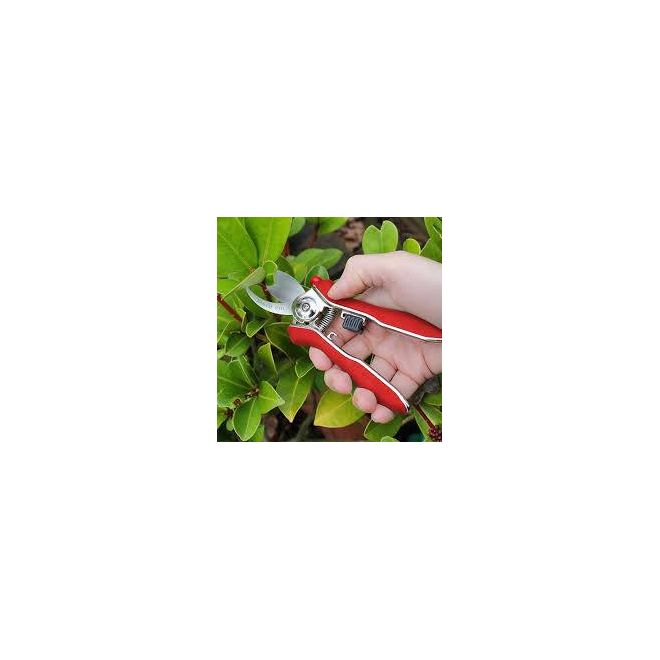 Darlac Mini Bypass Pruner - image 2