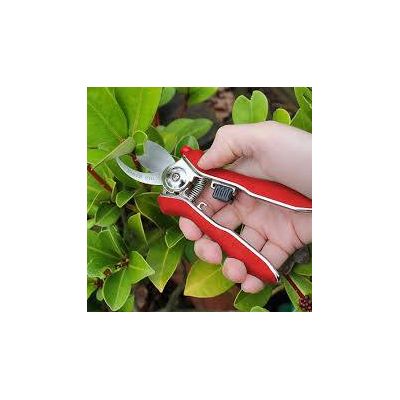 Darlac Mini Bypass Pruner - image 2