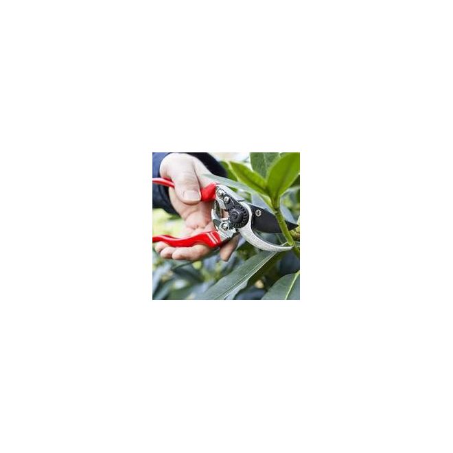 Darlac Professional L.H.Pruner - image 2