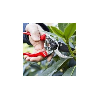 Darlac Professional L.H.Pruner - image 2