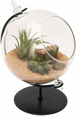 Desktop Glass Terrarium Planter and Metal Stand