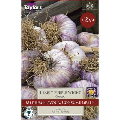 GARLIC EARLY PURPLE WIGHT