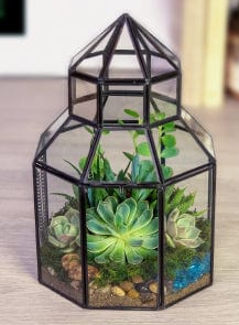 Glass Conservatory Terrarium