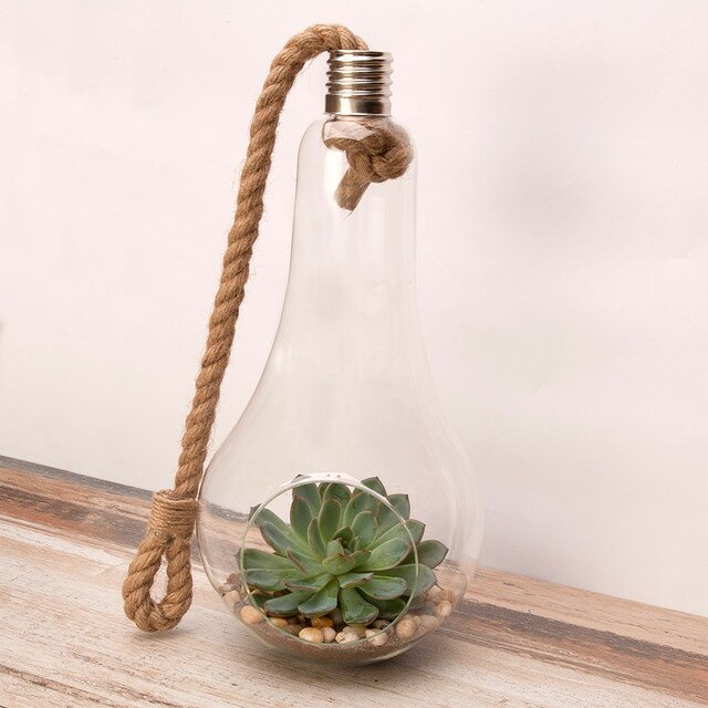 Glass Lightbulb Terrarium & Bird Seed Feeder