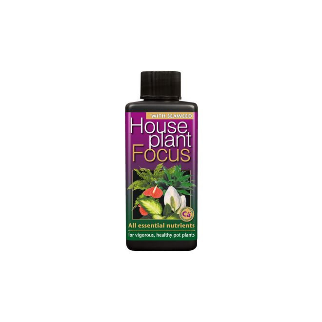 Houseplant Focus 100ml