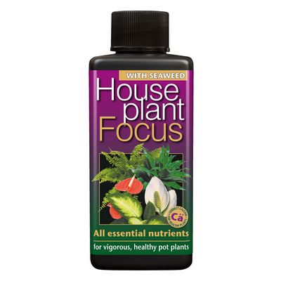 Houseplant Focus 100ml