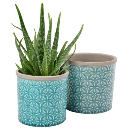 Houseplant Pots