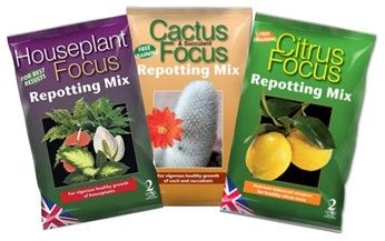 Indoor Plant Compost