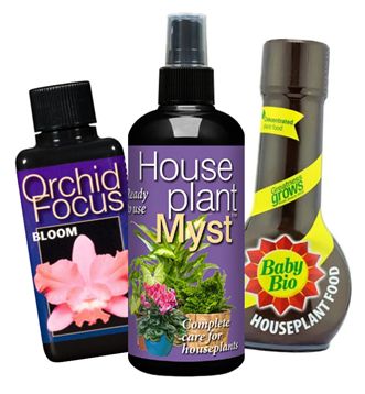 Indoor Plant feed and care