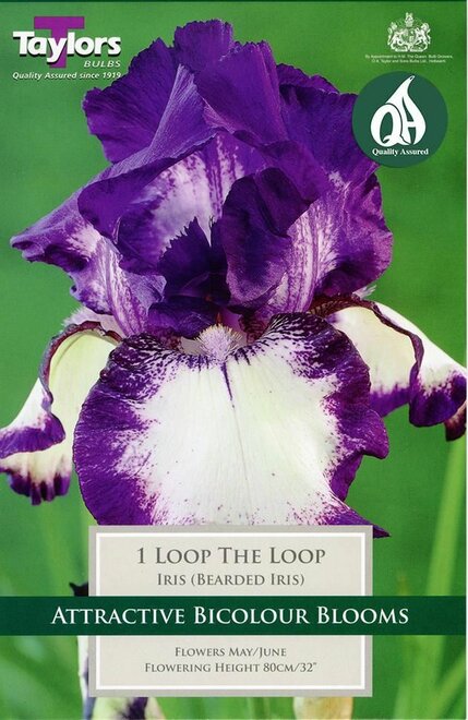 IRIS LOOP THE LOOP