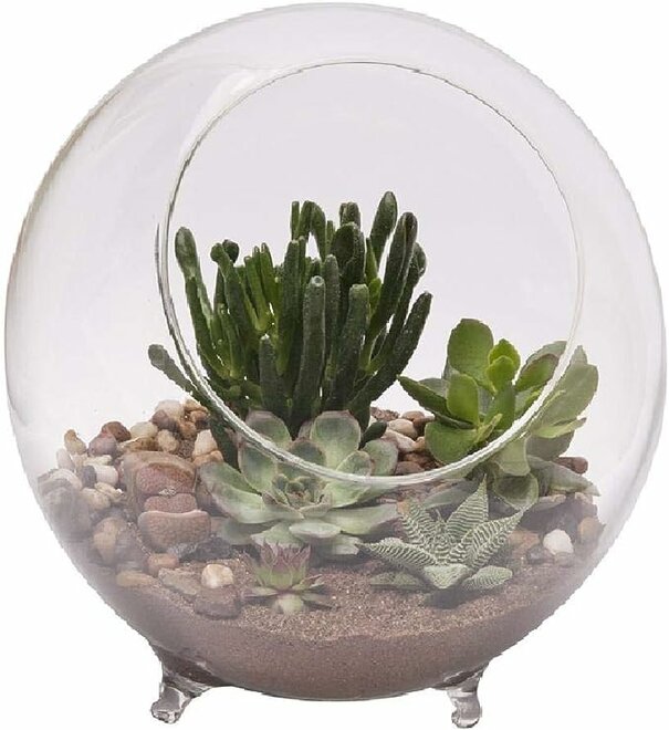 Large Glass Terrarium Sphere with feet