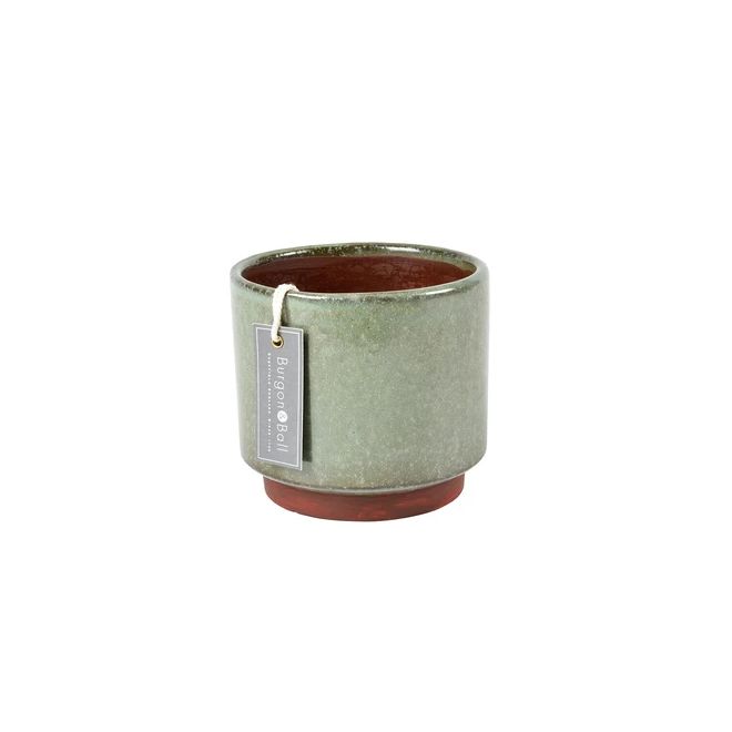 Malibu Green - medium