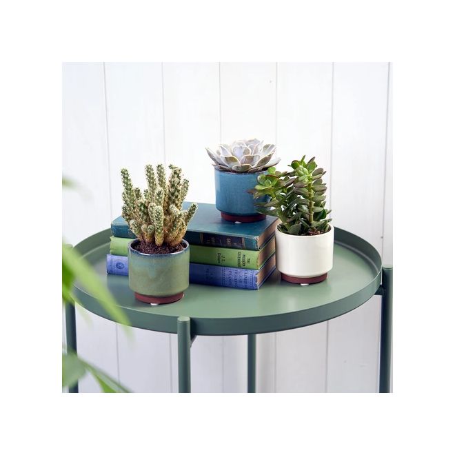 Malibu Succulent pot - Cream - image 2