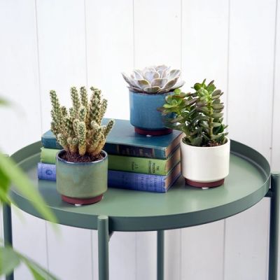 Malibu Succulent pot - Cream - image 2