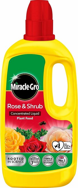 MIRACLE-GRO ROSE & SHRUB CONC 6X800ML