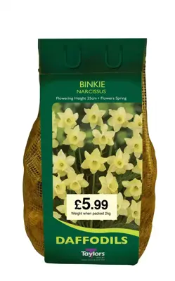 NARCISSI BINKIE CARRI-PACK 1.5KG