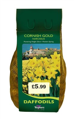 NARCISSI CORNISH GOLD CARRI-PACK