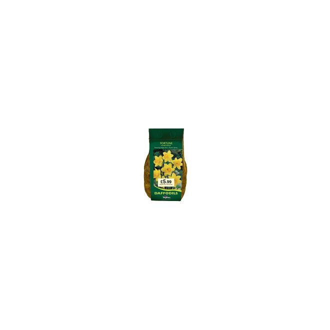 NARCISSI FORTUNE CARRI-PACK 2KG