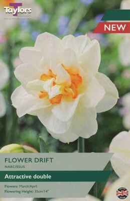 NARCISSUS FLOWER DRIFT 12-14 P/P