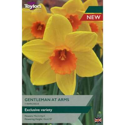 NARCISSUS GENTLEMAN AT ARMS 12-14 P/P