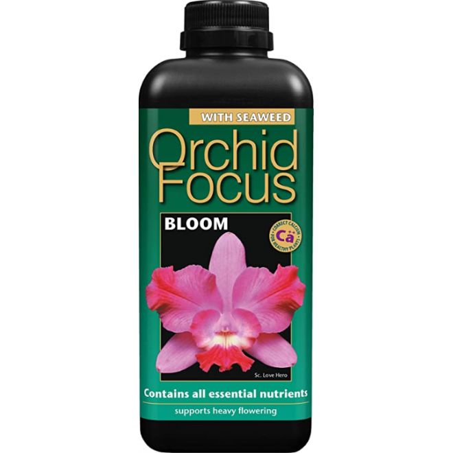 Orchid Focus BLOOM 100ml