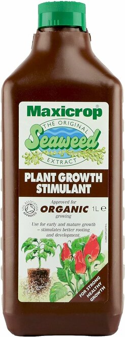 Original Seaweed Extract*