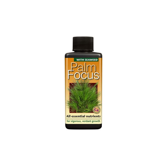 Palm Focus 100ml