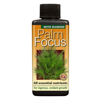 Palm Focus 100ml