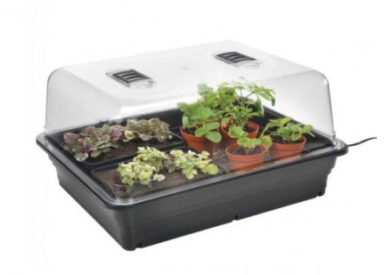 Plant Protection and Propagation