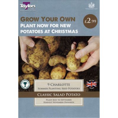 Potato Charlotte 30/55 P/P - image 1