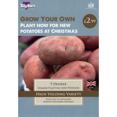 Potato Desiree 30/55 P/P