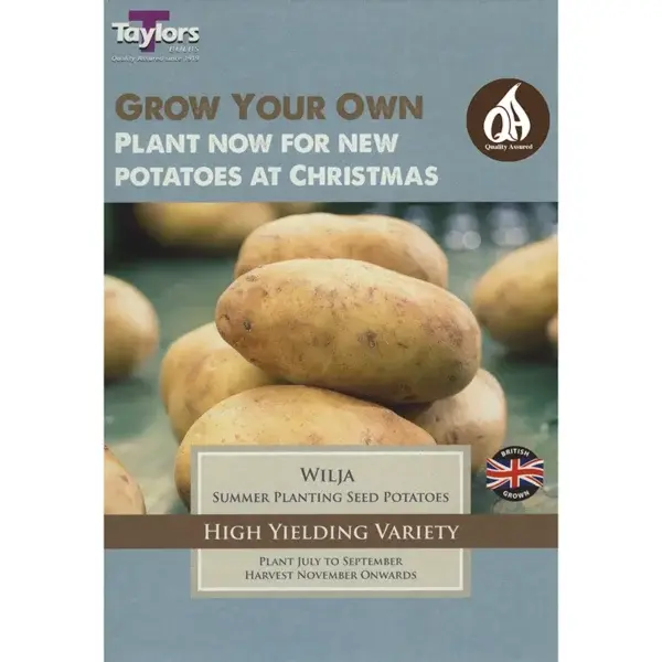 POTATO WILJA 30/55 P/P