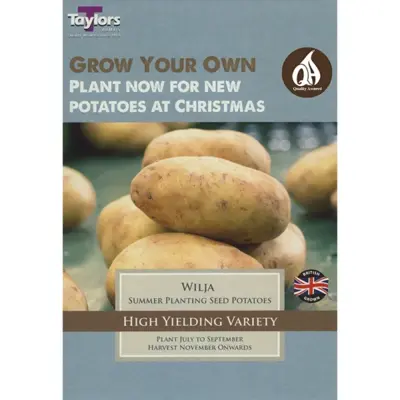 POTATO WILJA 30/55 P/P