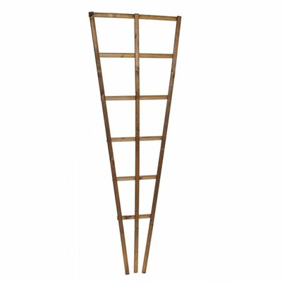 Prestige Wooden Fan Trellis 120cm x 50cm -- (FSC)