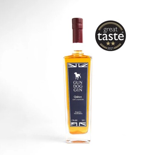 Quince Gin Liqueur 50CL - image 1