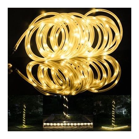 Rope Light 100 LEDs