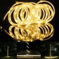 Rope Light 100 LEDs