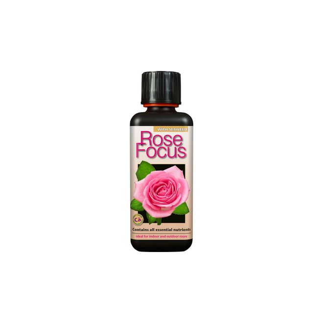 Rose Focus 300ml