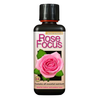 Rose Focus 300ml