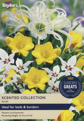 SCENTED COLLECTION