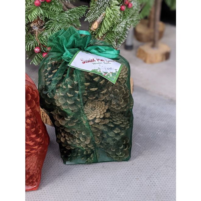 Scented Pine Cones - Green Bag - image 1