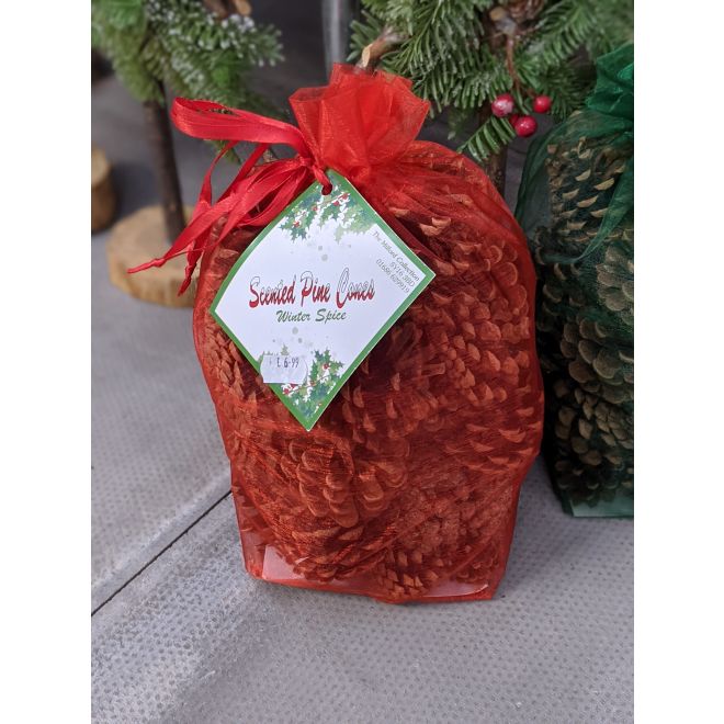 Scented Pine Cones - Red Bag - image 1