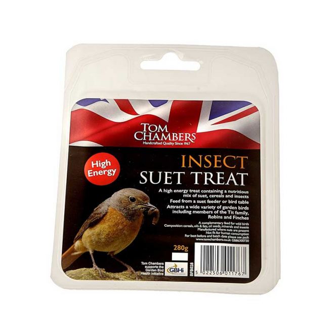 Suet Treat - Insect